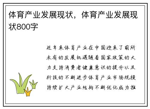 体育产业发展现状，体育产业发展现状800字