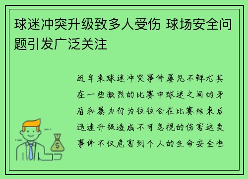 球迷冲突升级致多人受伤 球场安全问题引发广泛关注